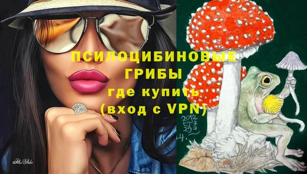 spice Абаза