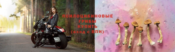 spice Абаза