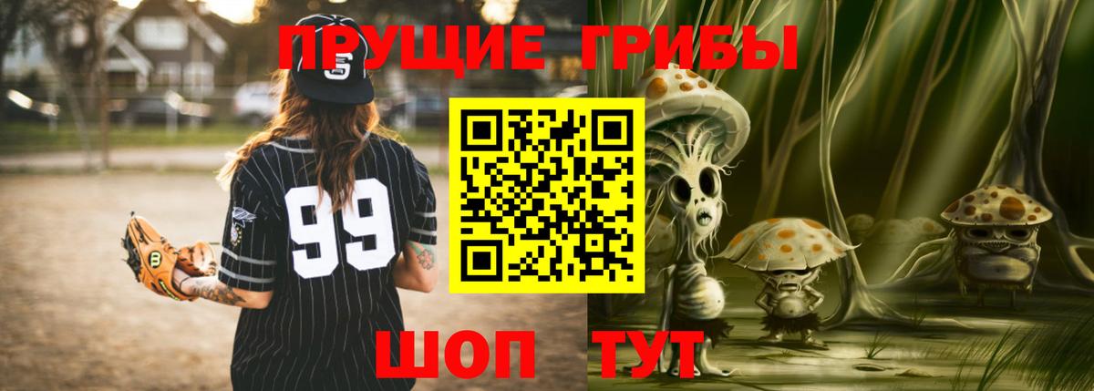 Псилоцибиновые грибы GOLDEN TEACHER Воронеж