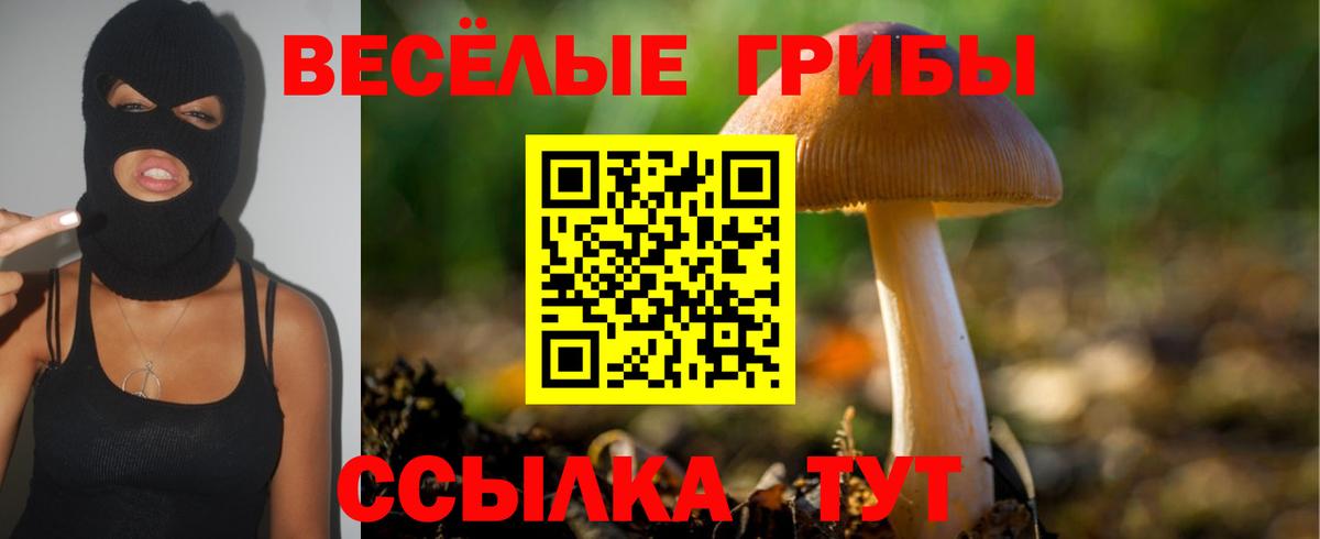 Псилоцибиновые грибы Cubensis  Вход с VPN  Воронеж  Псилоцибиновые грибы Psilocybine cubensis 